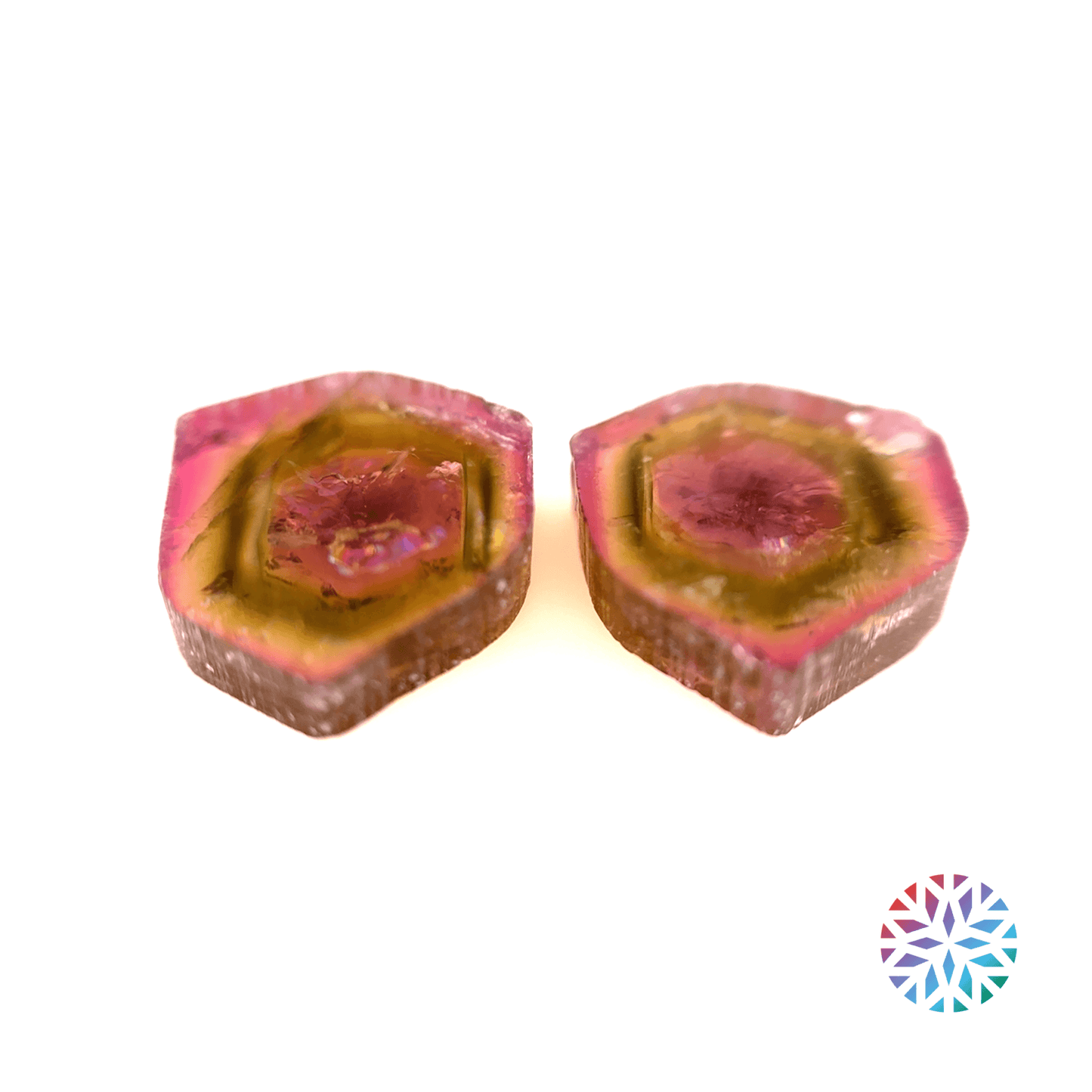W/M Tourmaline pair - Hexagon, 12.9ct, 13.3 x 12.7mm