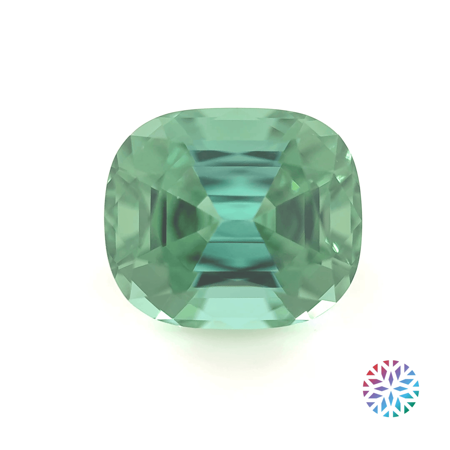 B/G Tourmaline- Cushion, 3.14ct, 9.4 x 8.1 x 6.2mm
